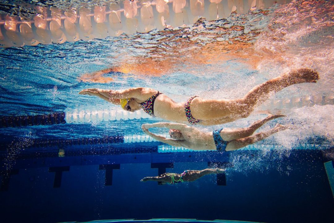 Swimmers doing freestyle in lane